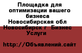 Площадка для оптимизации вашего бизнеса - Новосибирская обл., Новосибирск г. Бизнес » Услуги   